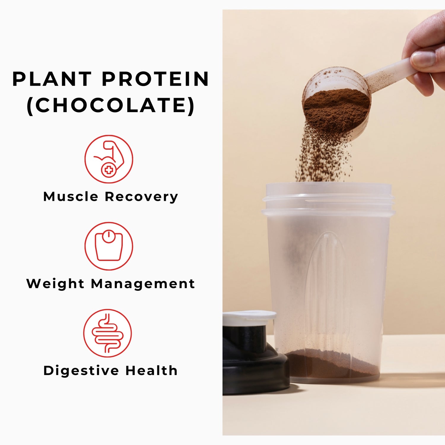 Plant Protein (Chocolate)
