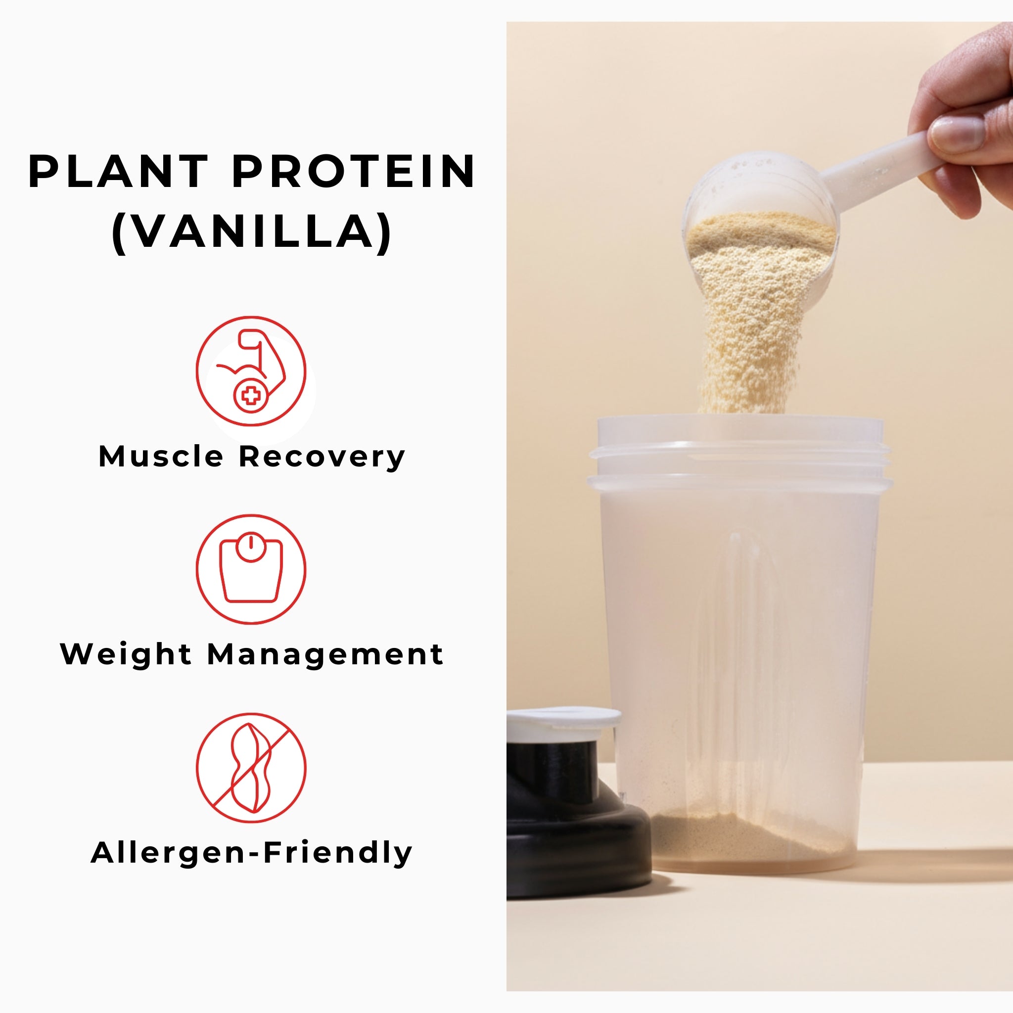 Plant Protein (Vanilla)